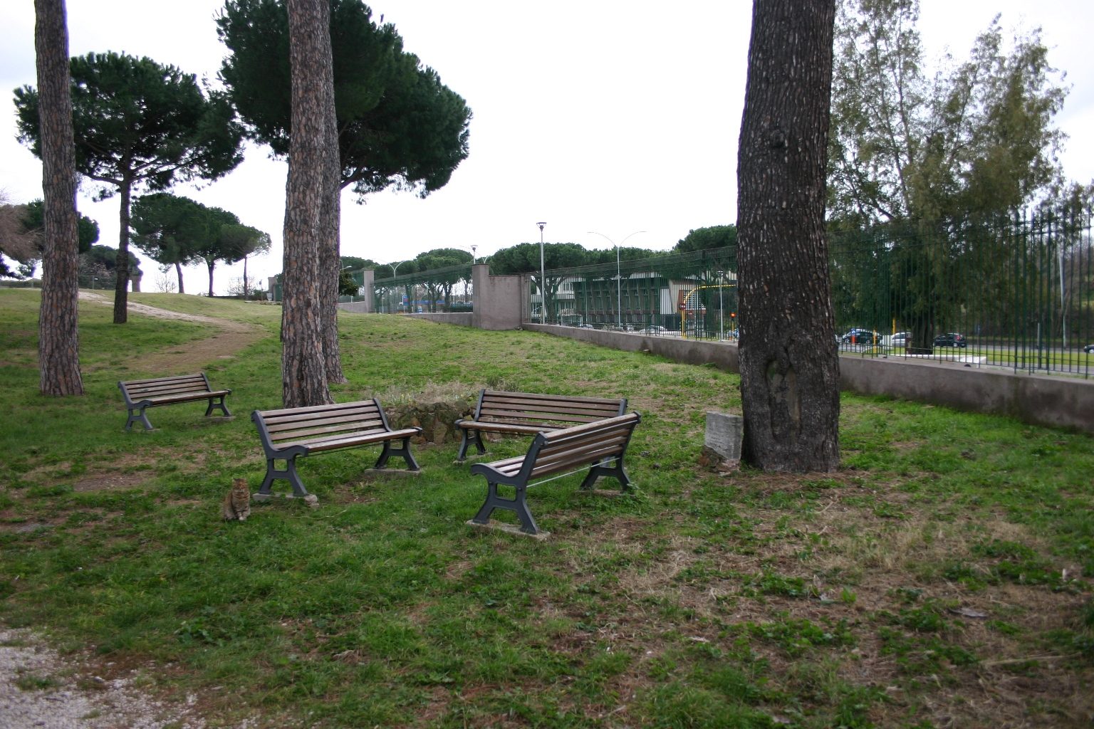 Guido Baccelli's Arbor Day memorial tablet, Via Latina archeological area, Rome - 01.JPG